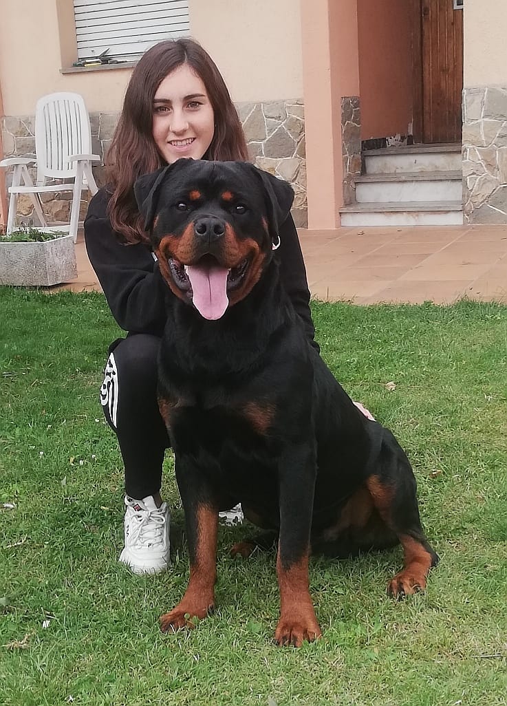 ¡Descubre la Elegancia de los Rottweilers en la Residencia Canina Radikaldogs en Girona!