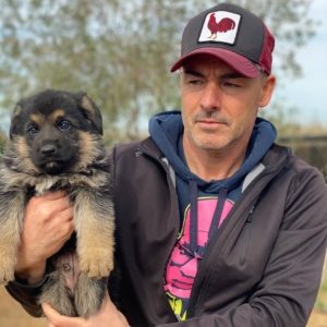 El Mejor Criadero Canino de España: Radikaldogs